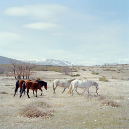 Carlos Ruano Hervás