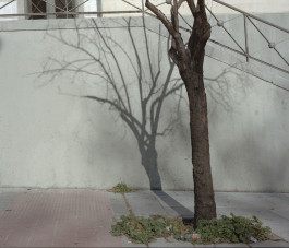 Carlos Ruano Hervás