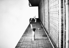 Carlos Ruano Hervás
